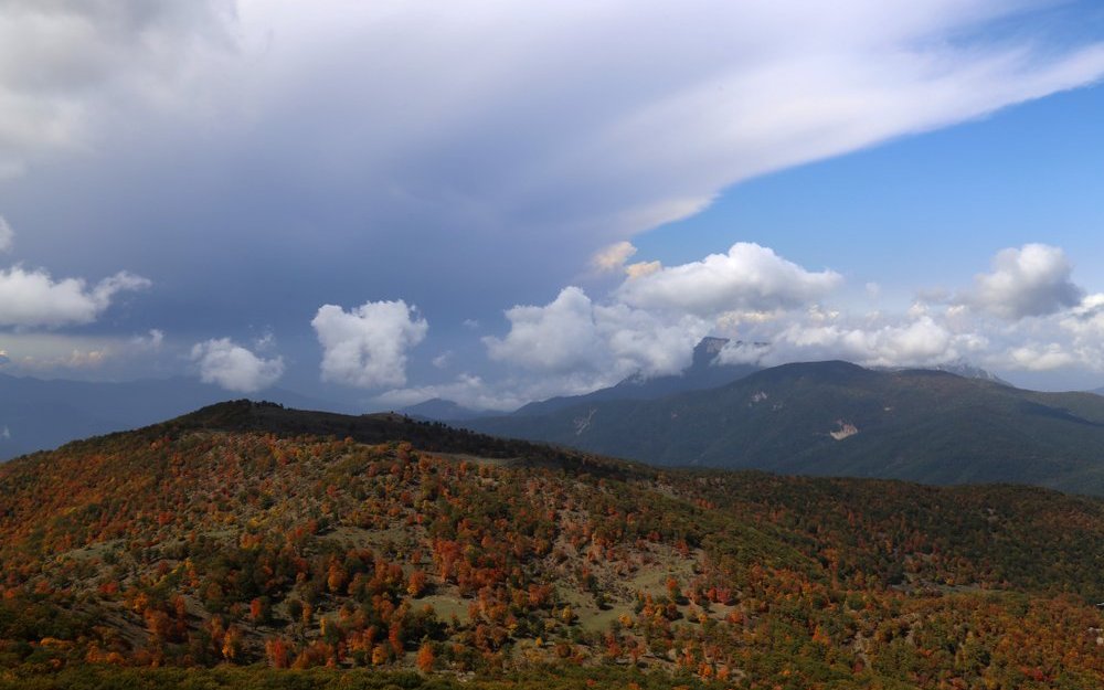 Der Hyrkanische Wald im nördlichen Iran ist ein besonderer Lebensraum. 