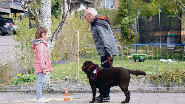 Die Kinder lernen, dass sie erst fragen müssen, bevor sie Labrador Kiro (oben) oder Lagotto Mila streicheln dürfen.