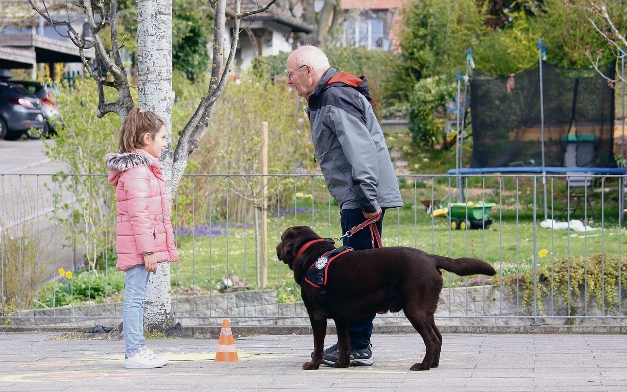 Die Kinder lernen, dass sie erst fragen müssen, bevor sie Labrador Kiro streicheln dürfen.