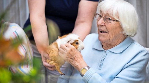 Tiere im Altersheim