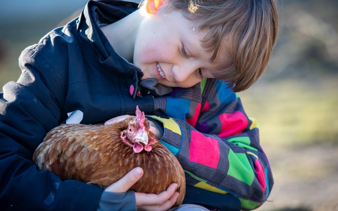 ... als auch an Schülerinnen und Schüler gerichtet.