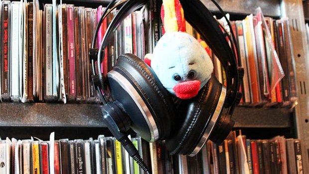 Tierwelt-Spotify 33-2021