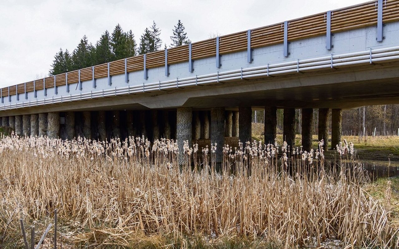 Nebst Überführungen, werden auch Unterführungen wie die bei Kiesen gerne von Wildtieren genutzt.