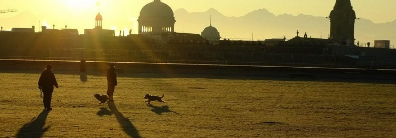 In Bern bezahlen Hundehalter pro Jahr 115 Franken Steuern für ihren Vierbeiner.