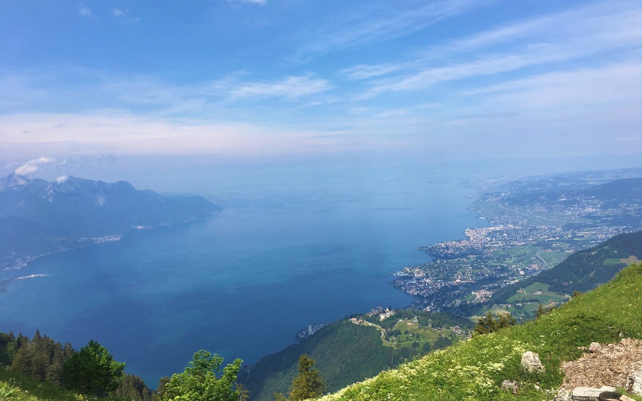 Wer diesen Blick auf den Genfersee geniesst, ist schon bald am Ende seiner Via Alpina Wanderung angekommen. 