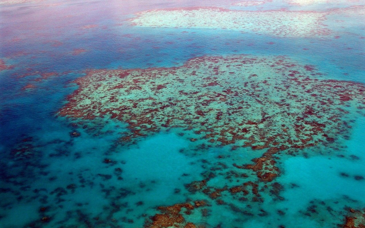 Das Great Barrier Riff gehört zu den grössten Ökosystemen unseres Planeten.