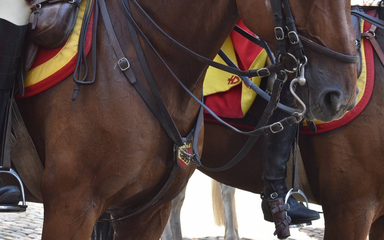 Ob bei den Dragonern künftig auch Frauen mitreiten dürfen, steht aktuell noch in den Sternen.