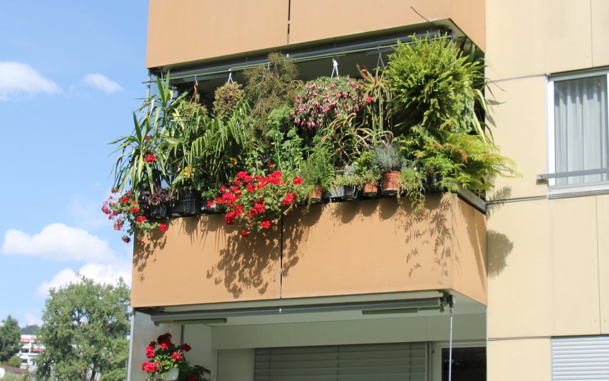 Ein Balkon kann mit Pflanzen nach Wunsch gestaltet werden, so dass er wie eine grüne Oase wirkt. 