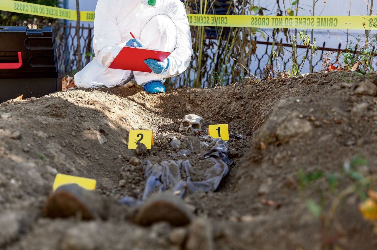 Diverse Fliegen- und Kurzflüglerarten besiedeln Leichen. Sie geben den Forensikern Hinweise zu Todesart, Liegezeit und bei einem Tötungsdelikt vielleicht sogar zum Täter. 