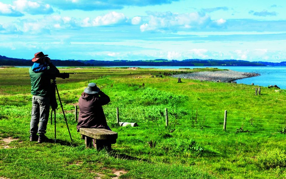 Engagierte Hobby-Ornithologen liefern wertvolle Informationen zum Vogelzug.