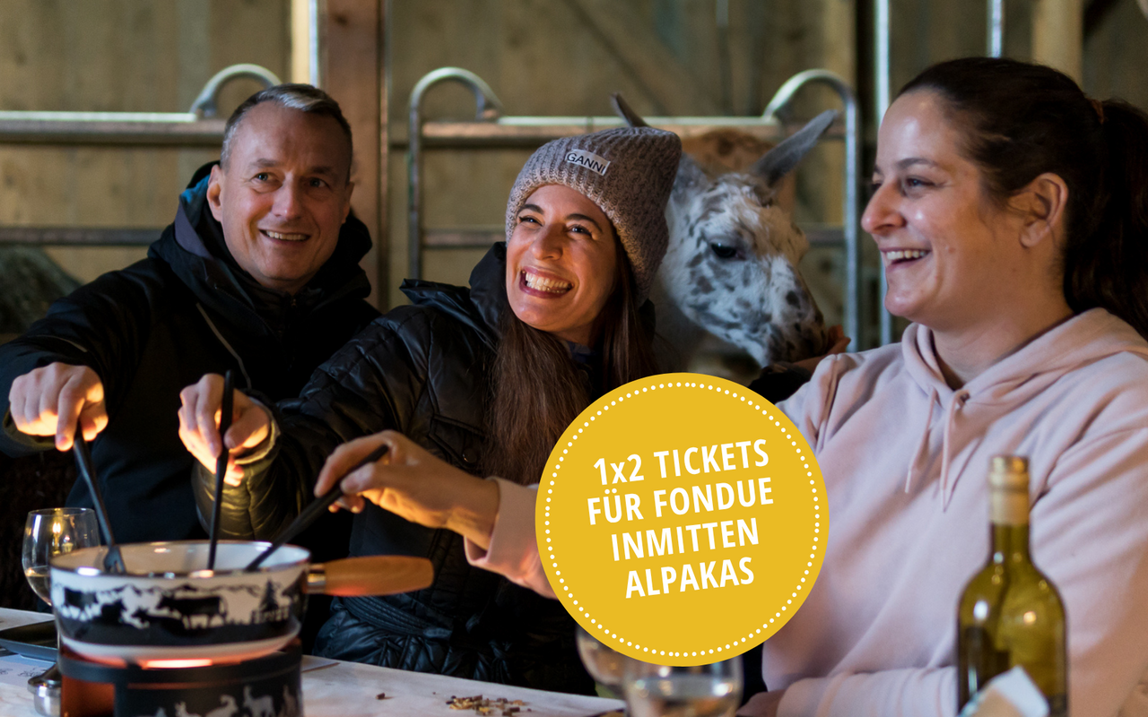 Erleben Sie ein einzigartiges Fondue-Event im Alpakahof und erfahren Sie spannende Infos über die sanften Tiere.