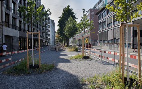 Zurich: A Green City with Room for Growth and Biodiversity