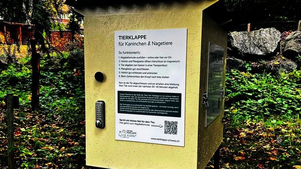 In dieser Klappe im Berner Oberland können anonym Kleintiere abgegeben werden.