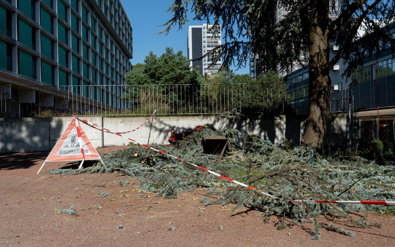 Der Arbeitsplatz im Bethlehemacker wird aus Sicherheitsgründen signalisiert und teilweise abgesperrt.