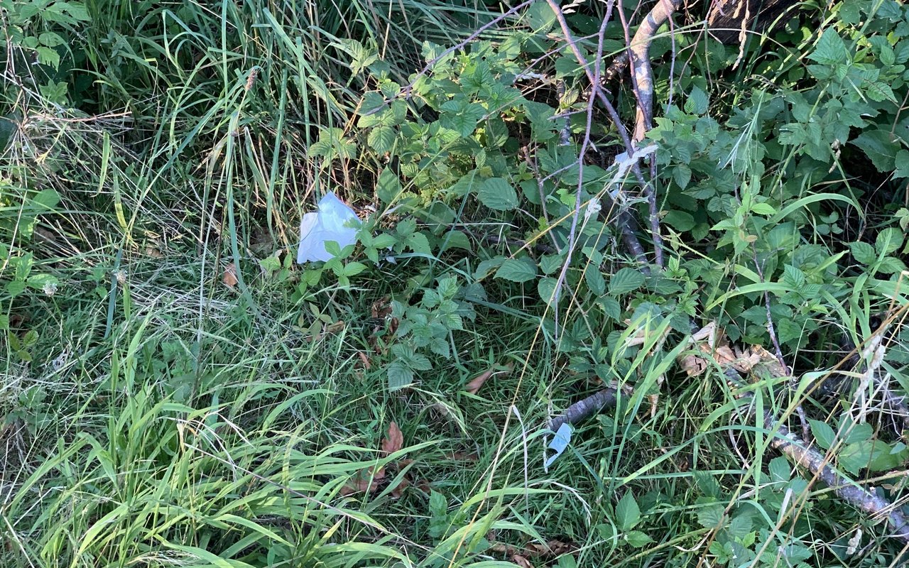 An hochfrequentierten Wanderwegen liegt immer mehr Abfall. Seit der Pandemie leider auch vermehrt Papiertaschentücher.