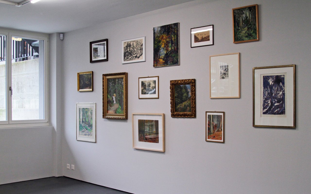 Ein Wald voller Wald-Bilder im Churer Ausstellungsraum. 