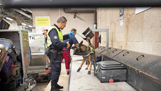 Auf dem Förderband rollt Koffer an Koffer vorbei, da muss der Hund auf Trab sein.