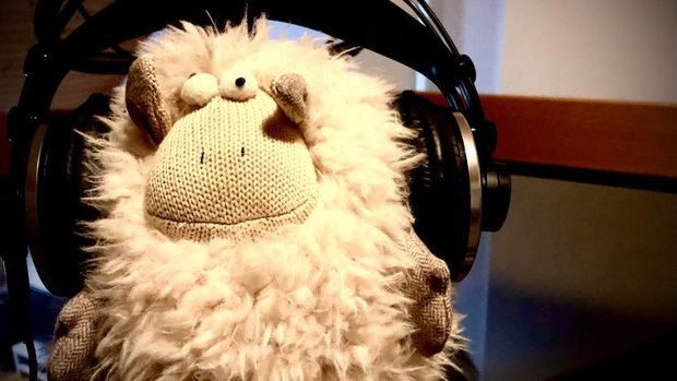 Tierwelt-Spotify 30-31-2021