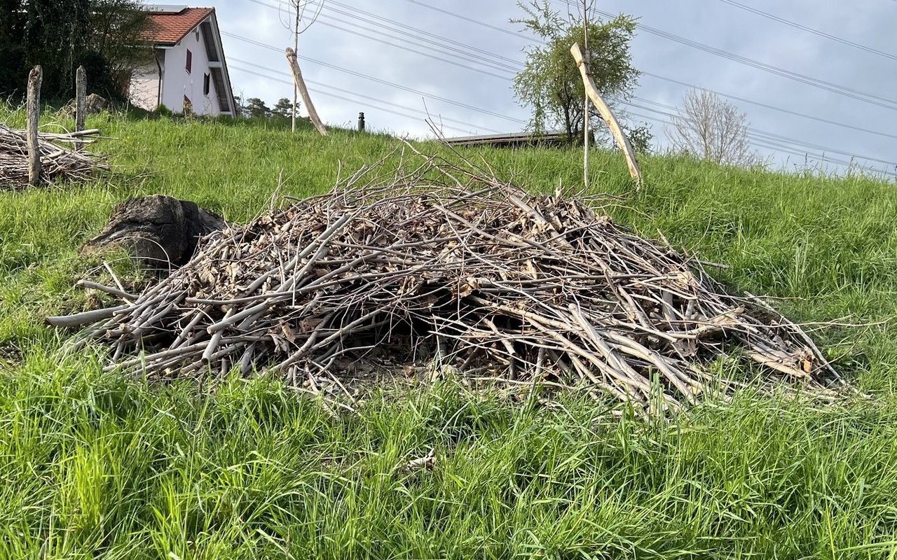 Je näher Wälder oder Kleinstrukturen sind, desto interessanter ist der Asthaufen für Wildtiere. 