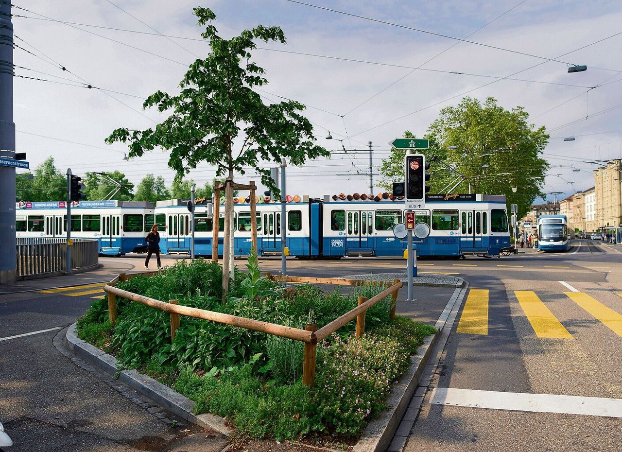 Mit Grünstreifen und neuen Bäumen schafft es die Stadt Zürich, dass die Natur in regelmässigen Abständen ihren Platz hat.