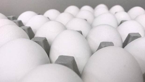 eggs-pixabay1.jpg