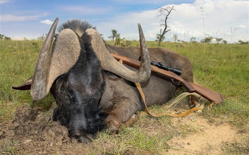 Jagdsafaris werden aus der Sicht der Tierschutzes massiv kritisiert.