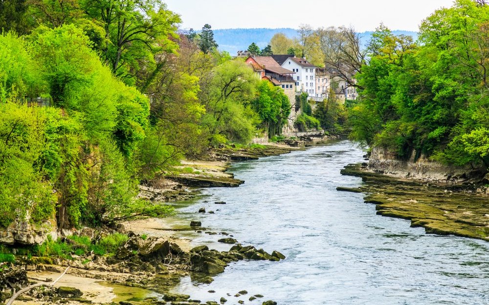 Im Wasserschloss finden Mensch und Tier eine abwechslungsreiche und erholsame Lebenswelt vor.