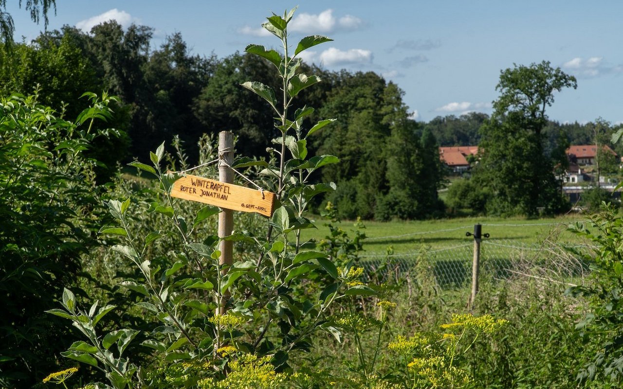 (Bild: Gülpinar Günes / TierWelt)