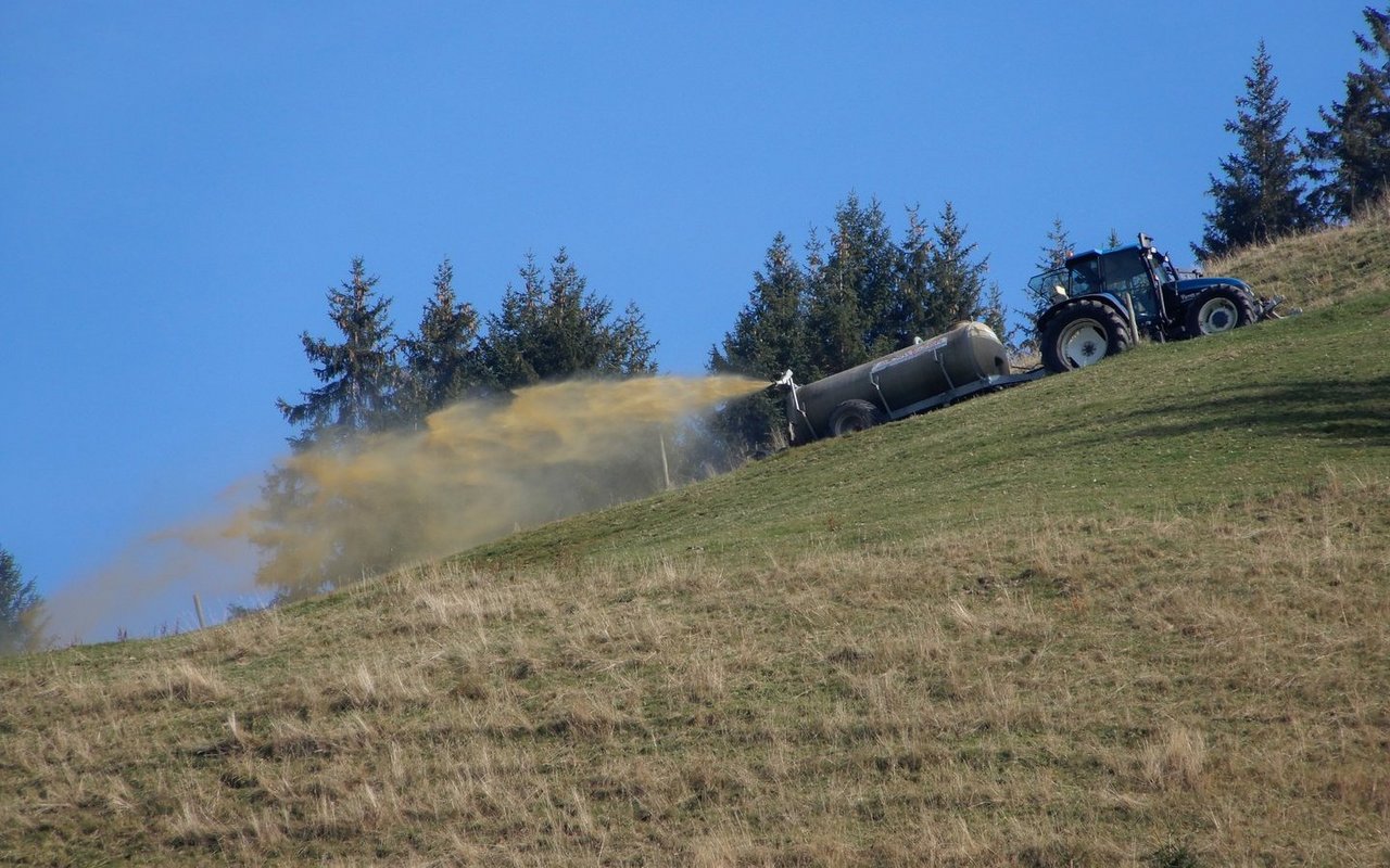 Die genaue Zusammensetzung von Gülle variiert jedoch immer nach Fütterung und Haltung der Tiere.