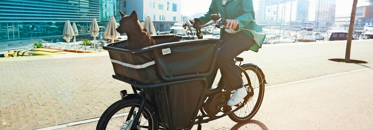 Während Frauchen in die Pedale tritt, lässt sich der Hund den Fahrtwind um die Nase wehen.