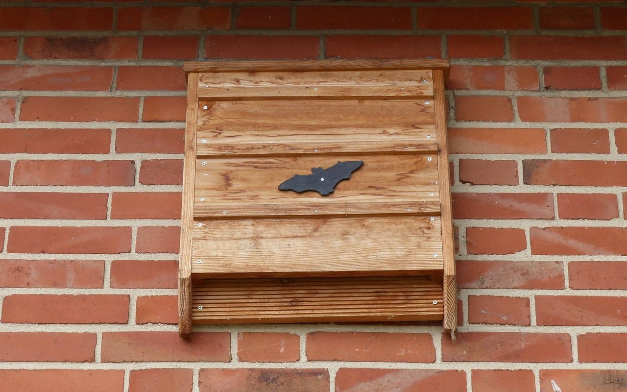 Fledermäuse nutzen spezielle Fledermauskästen als Schlafplatz. 