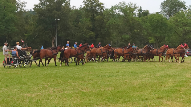 Fahrquadrille