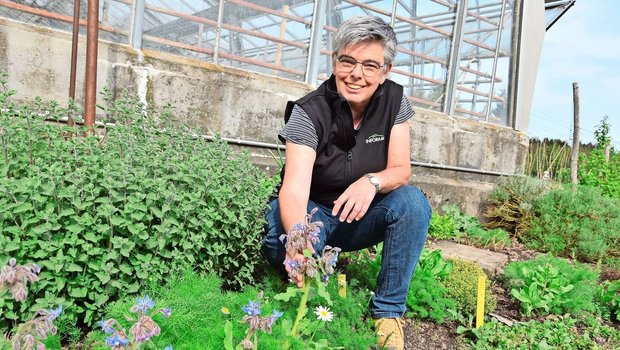 Esther Pensa bekämpft unerwünschte Neophyten in ihrem Garten und setzt dafür auf viele Kräuter.