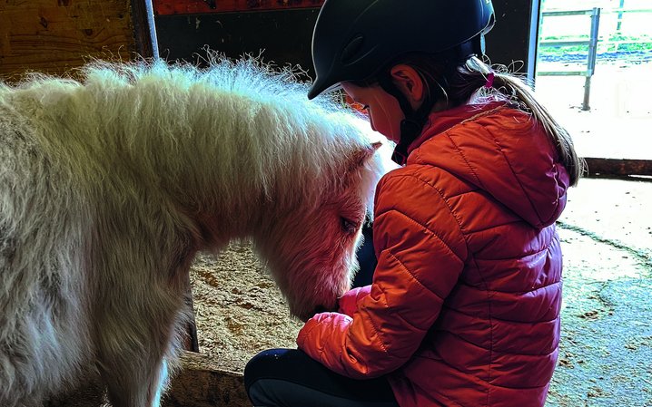 Geduld und Elan: Mini Horses eignen sich gut für Kinder.