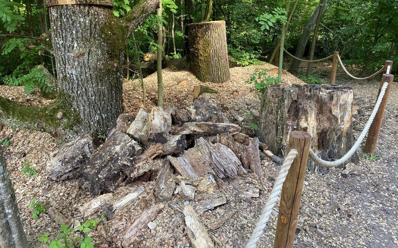 Der Käfer-Treff soll die Bevölkerung informieren. 