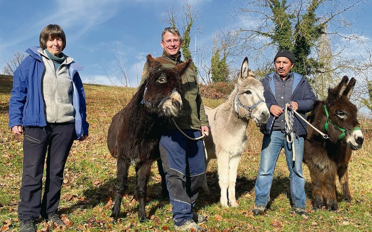 Christine Rüedi und ihr Team unternehmen mit den Eseln einen Spaziergang. Bewegung für die Tiere steht auf dem täglichen Programm.