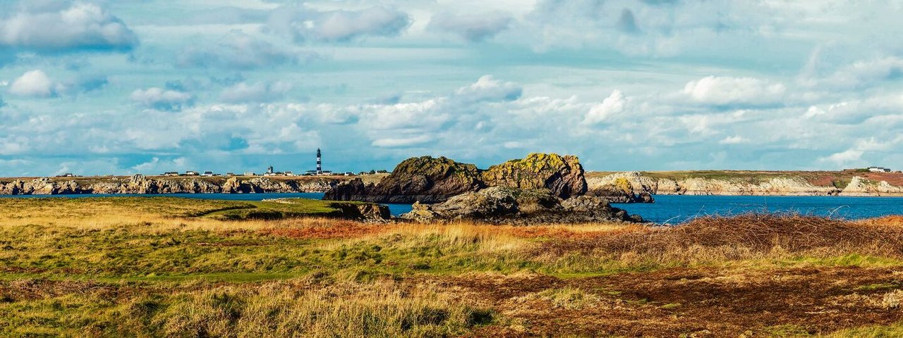 Die ursprüngliche Heimat der Schafe ist die kleine französische Insel Ouessant mit einem rauen Klima.