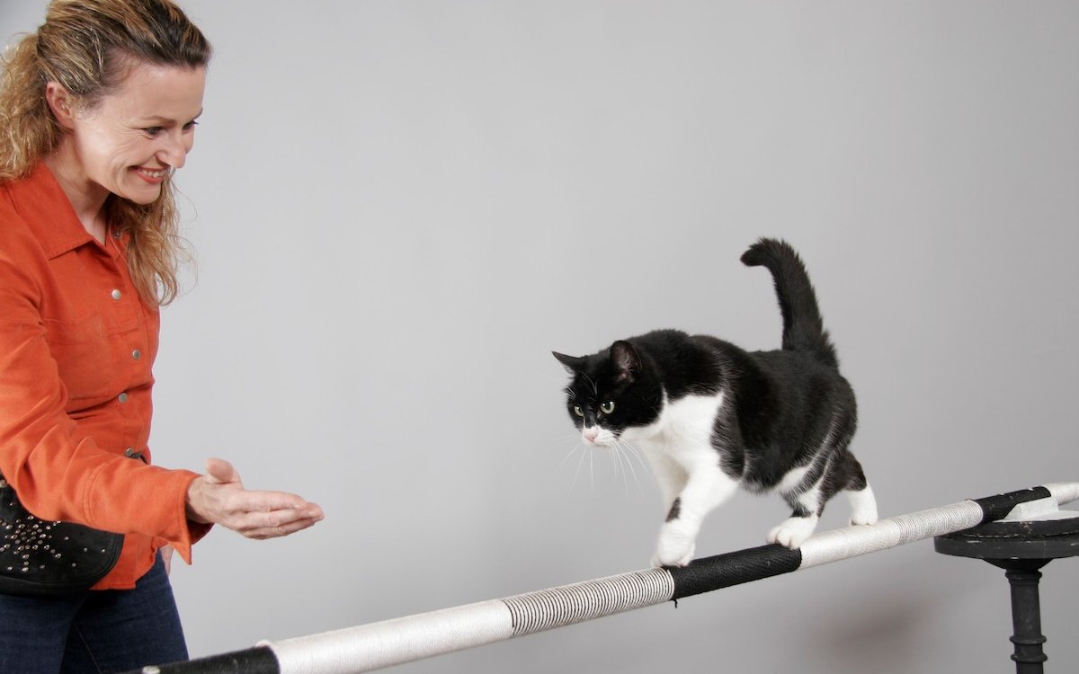 Gabi Federer führte jahrelang Katzen in einer Nummer vor. 