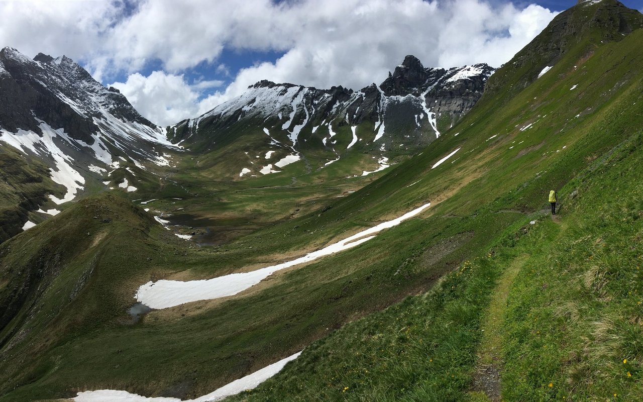 In schwindelerregenden Höhen auf der Via Alpina tierwelt.ch TierWelt