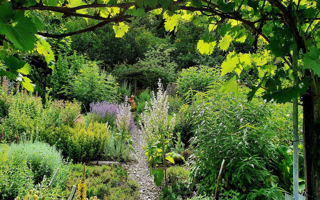 Durch geschickte Abdeckung des Gartenbodens mit Mulch muss viel weniger gegossen werden. 