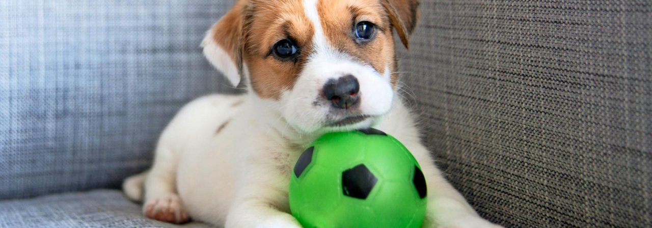 Alles ist neu, allein sein so schwer. Da kann ein kleiner Ball ganz schön tröstlich sein.