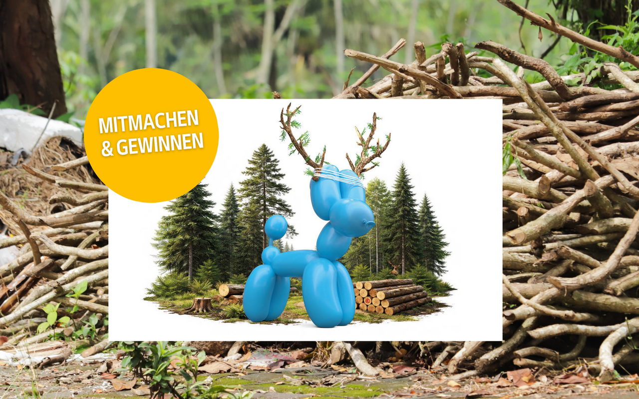 Die OHA findet vom 28. August bis 6. September statt.
