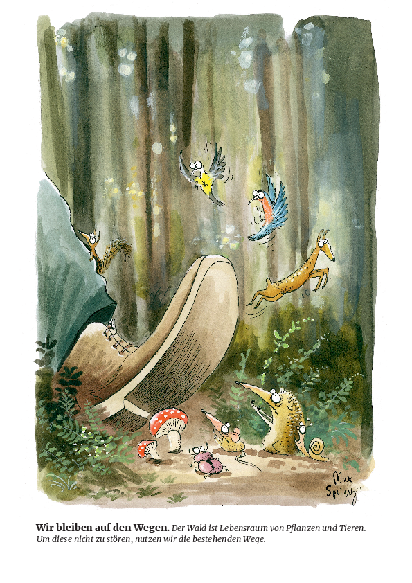 Grosse Füsse, grosser Schaden. Deshalb bleiben wir auf dem Waldweg.