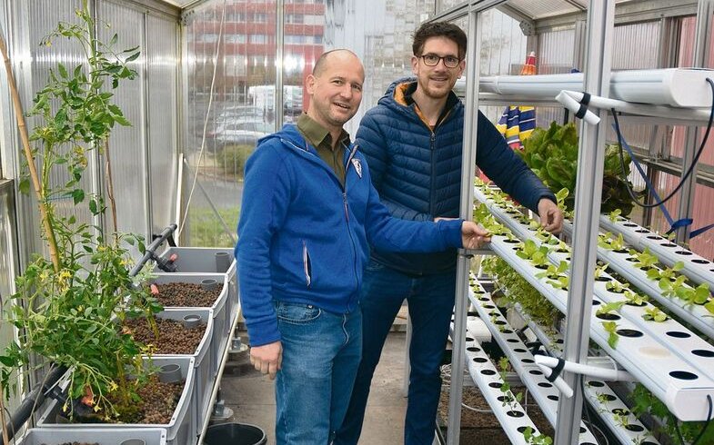 Christopher Koch (links) und Raffael Känzig begutachtendas Wachstum der verschiedenen Salatsorten.