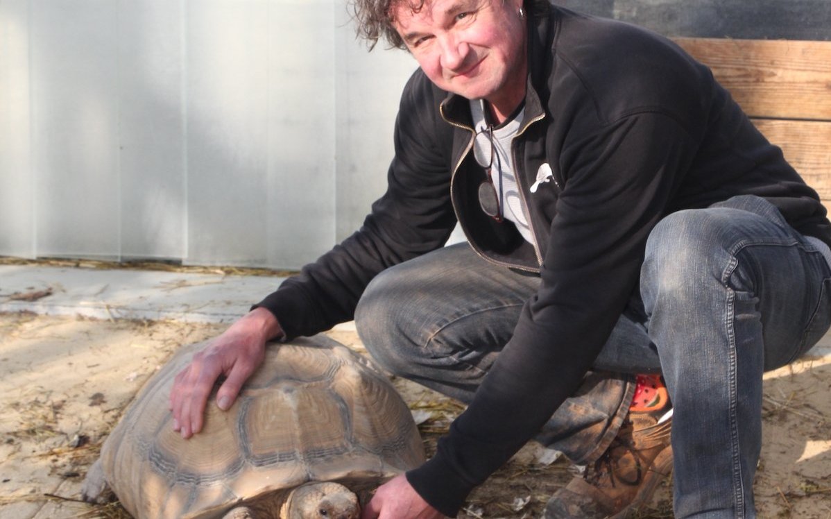 Jean-Marc Duccoterd mit einer Sporenschildkröte im Centre Emys in Chavornay. 