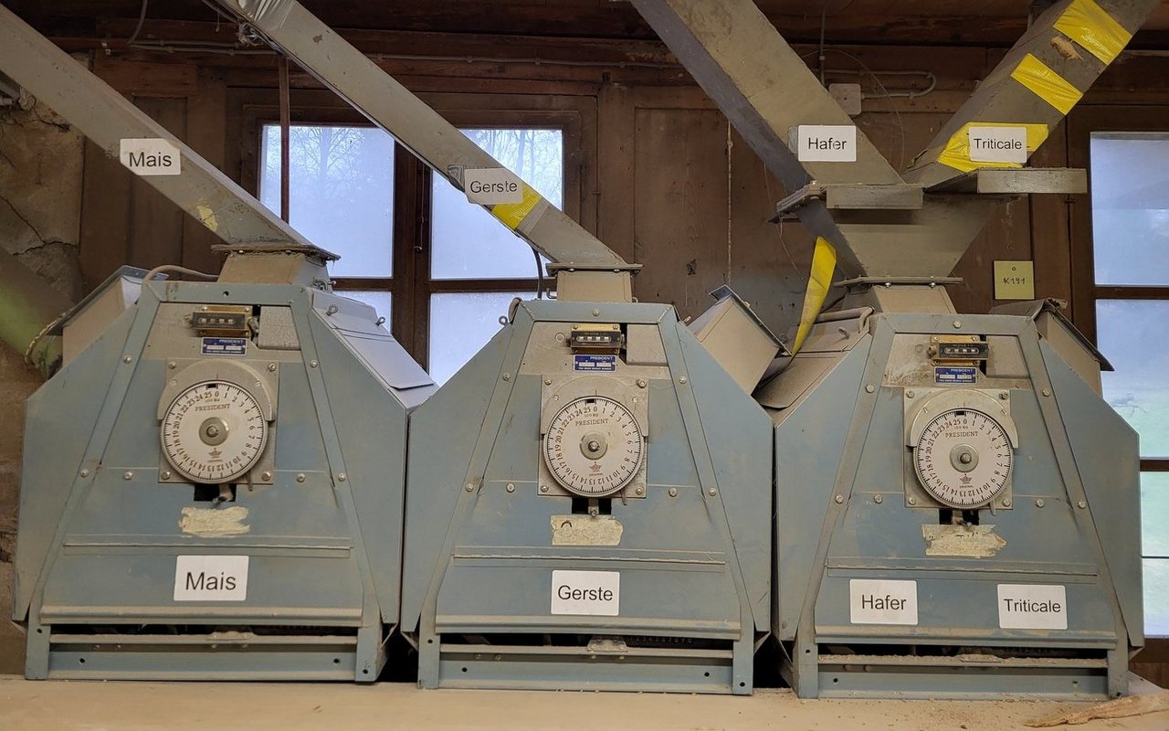 Hier gelangt das Tierfutter aus den Silos in die Mühle.