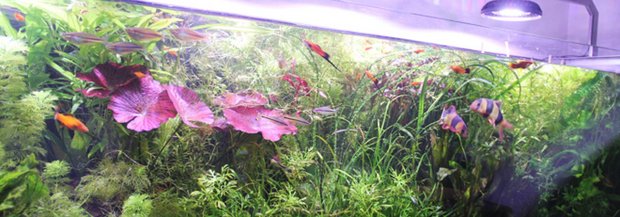 IMG_0704_s.jpg