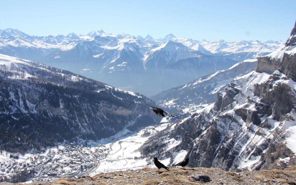 Das Alpenpanorama von der Gemmi aus ist eindrücklich. 