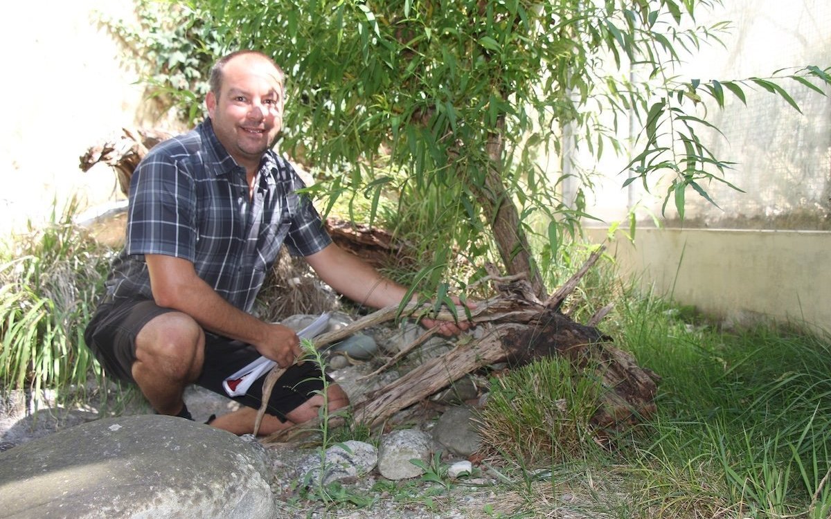 Ueli Käser richtet eine neue Anlage für Aspisvipern ein. 