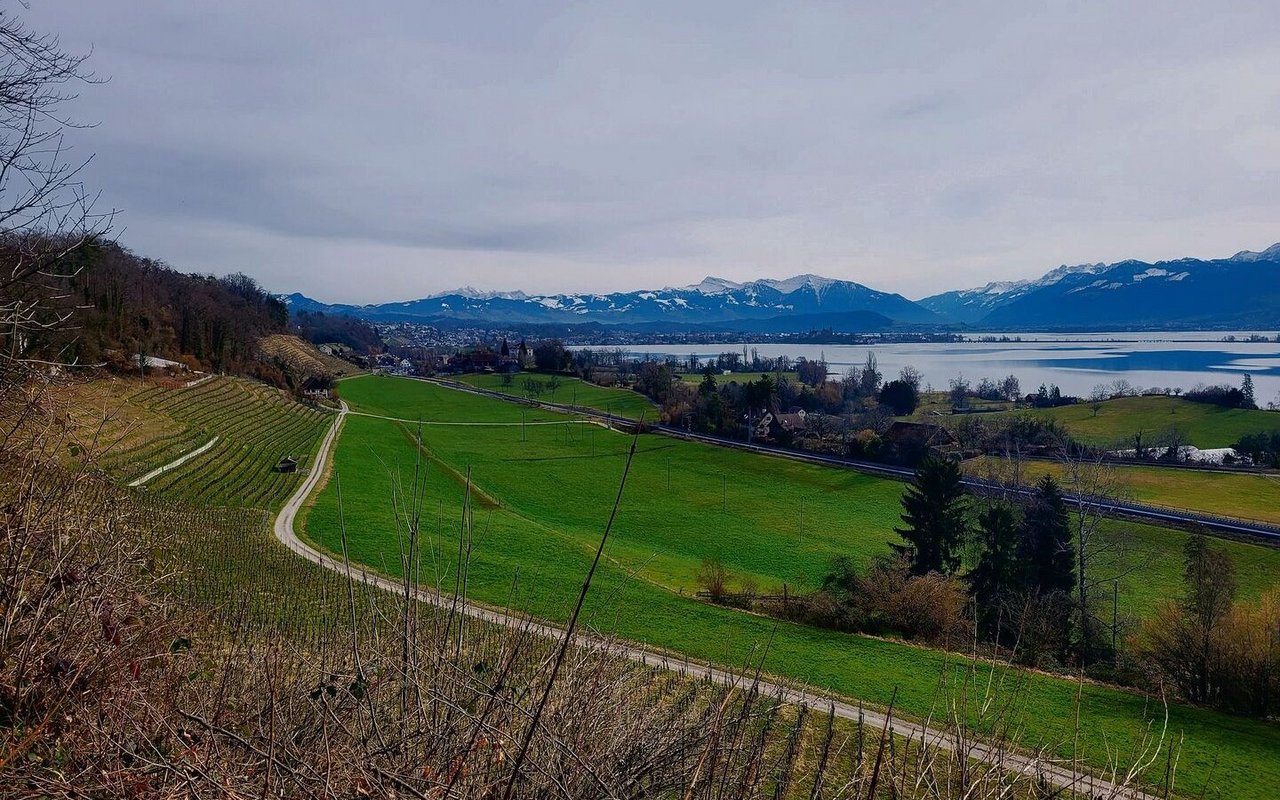 Blick auf den See mit der aktuellen Bahnstrecke zwischen Zürich und Rapperswil.